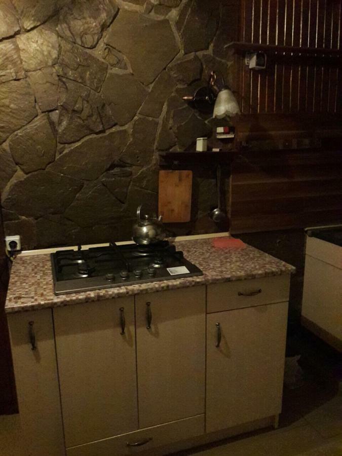 Квартира В Центрі Міста Lviv Bagian luar foto
